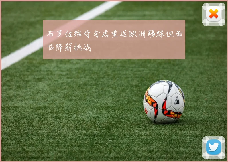 布罗佐维奇考虑重返欧洲踢球但面临降薪挑战