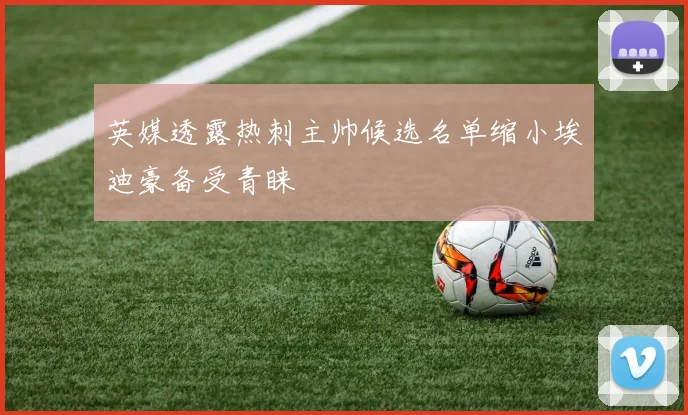 英媒透露热刺主帅候选名单缩小埃迪豪备受青睐